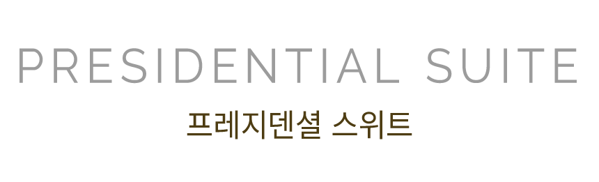 메인 타이틀 텍스트